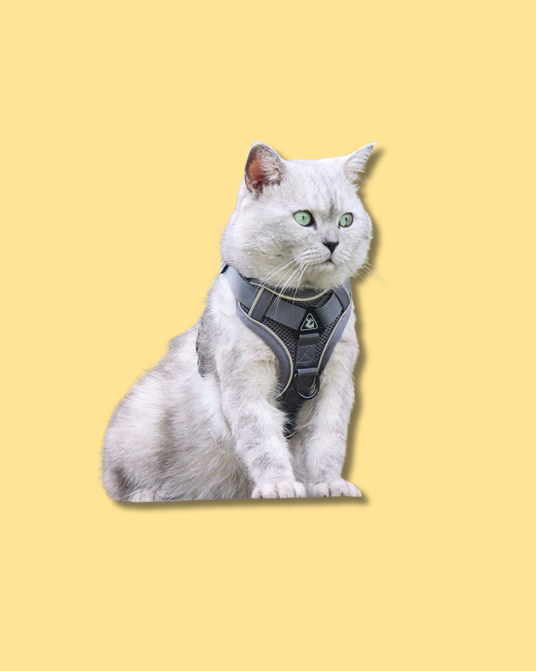 Reflective Mesh Pet Harness