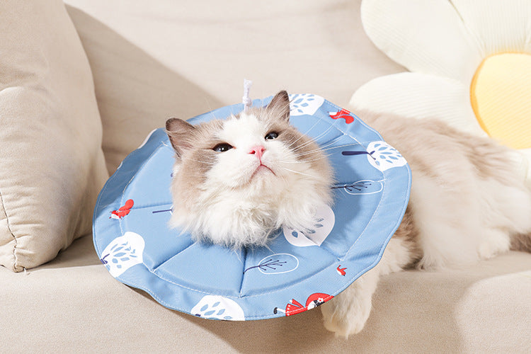 Pet Recovery Collar