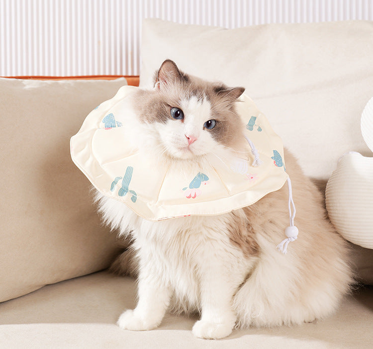 Pet Recovery Collar