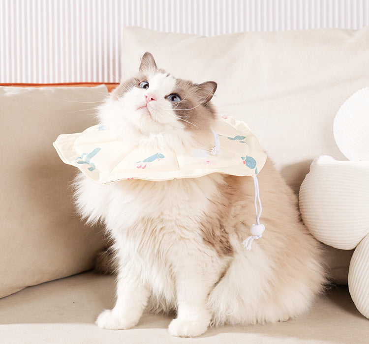 Pet Recovery Collar