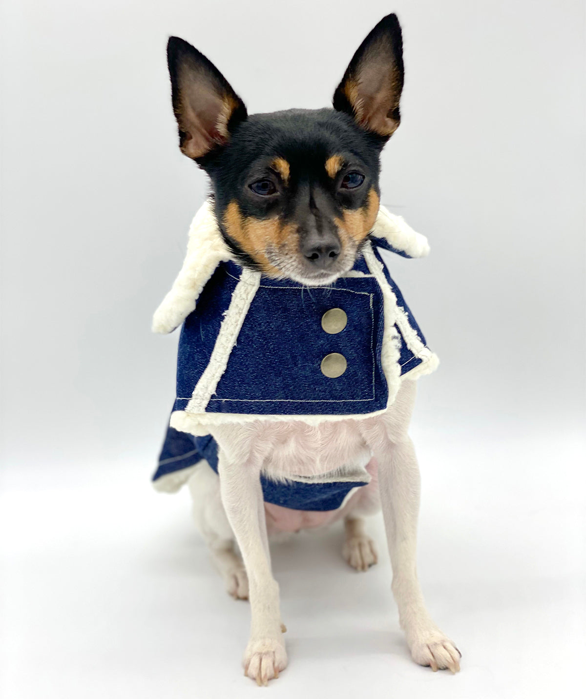 DCNY Sherpa Lined Denim Ranch Coat