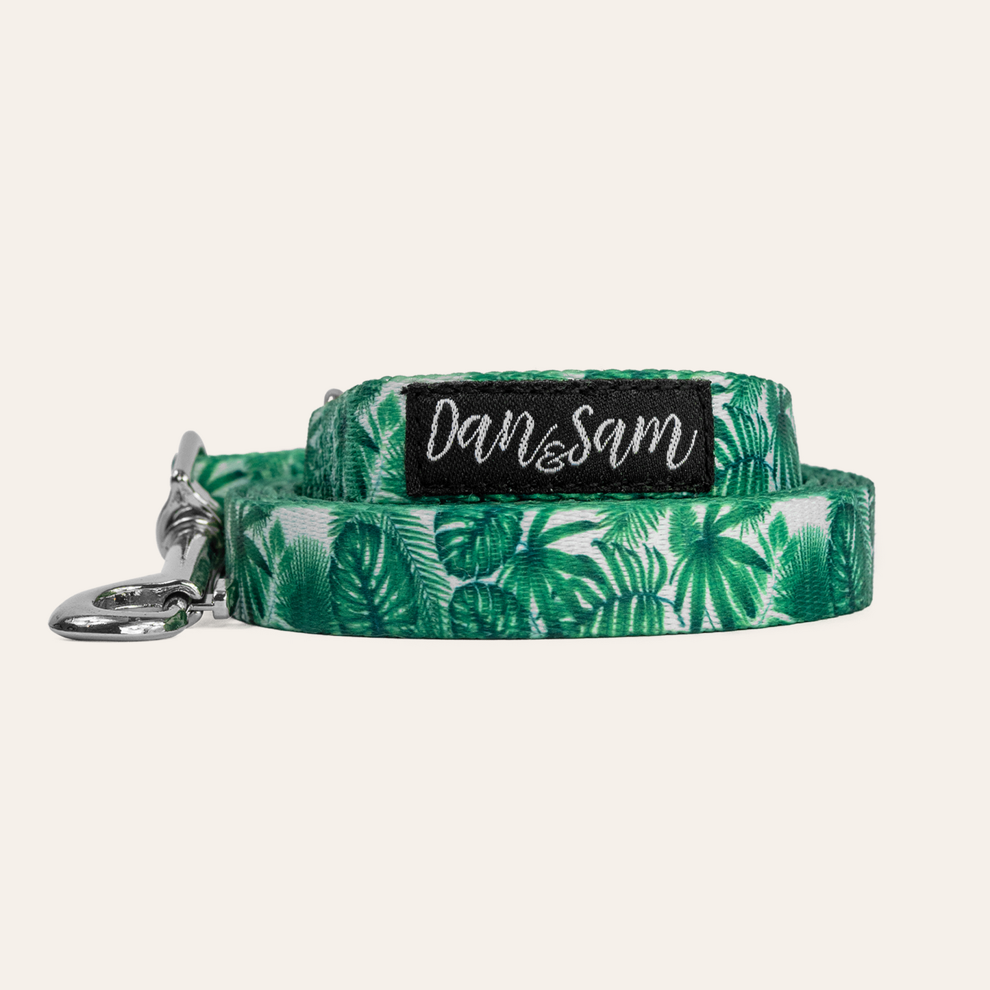 Dog Lead