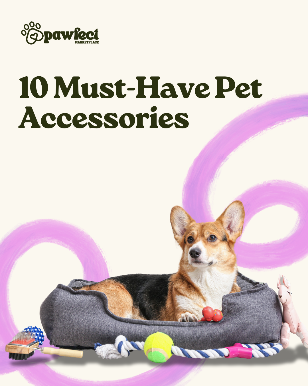 10 must-have Pet Accessories