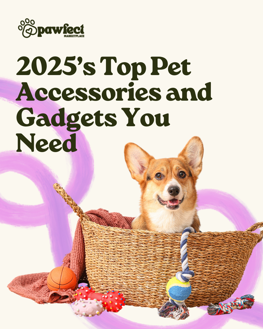 2025’s Top Pet Accessories and Gadgets You Need