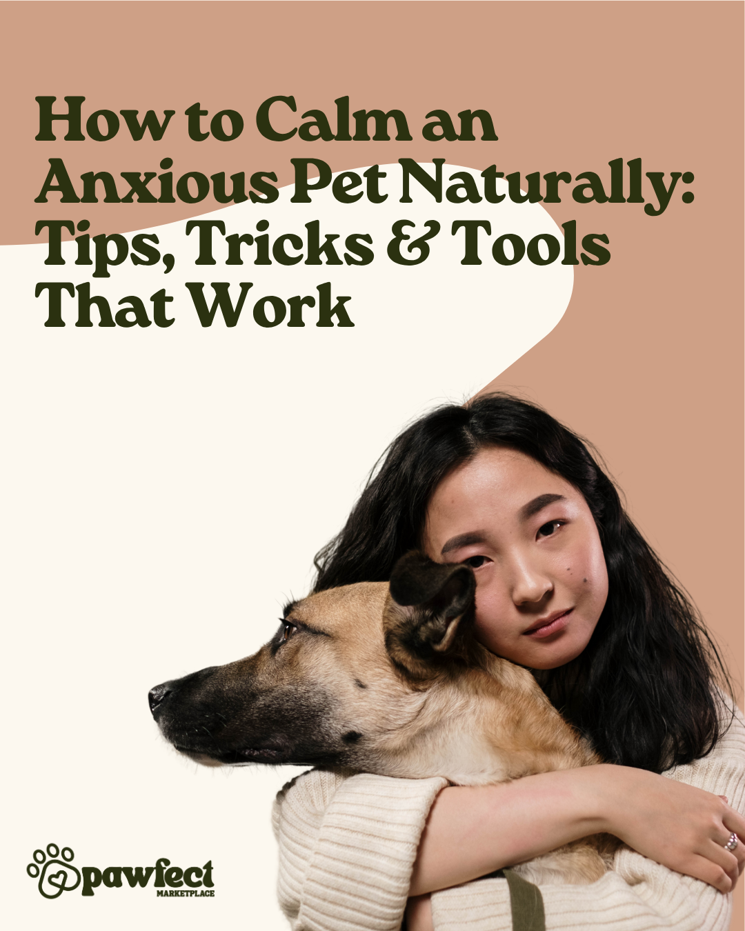 How to Calm an Anxious Pet Naturally: Tips, Tricks & Tools That Work