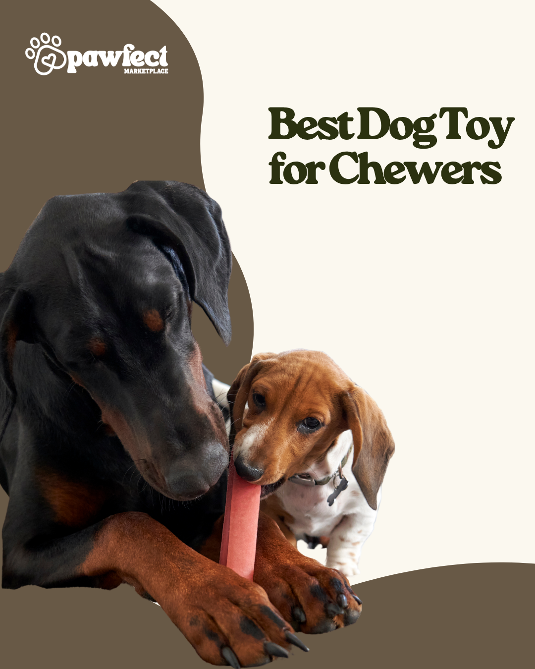 Best Dog Toy for Chewers