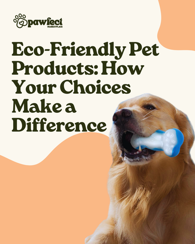 Eco-Friendly Pet Products: How Your Choices Make a Difference