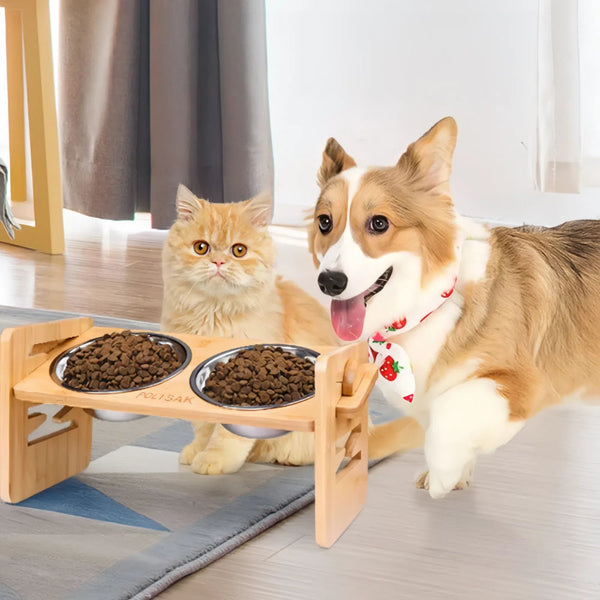 Everything Pets