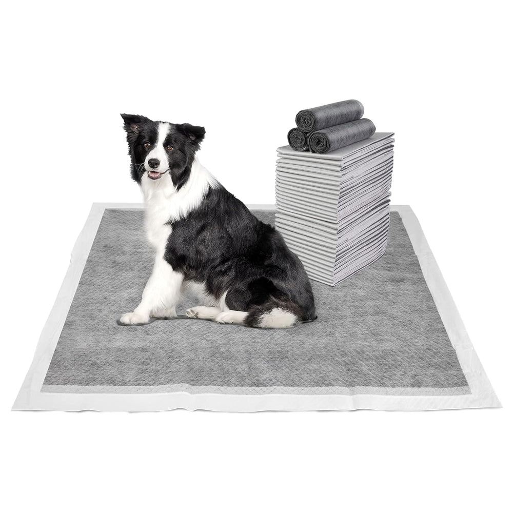 PETSWOL 100/50/40/20 Pack Disposable Dog Training Pads_6