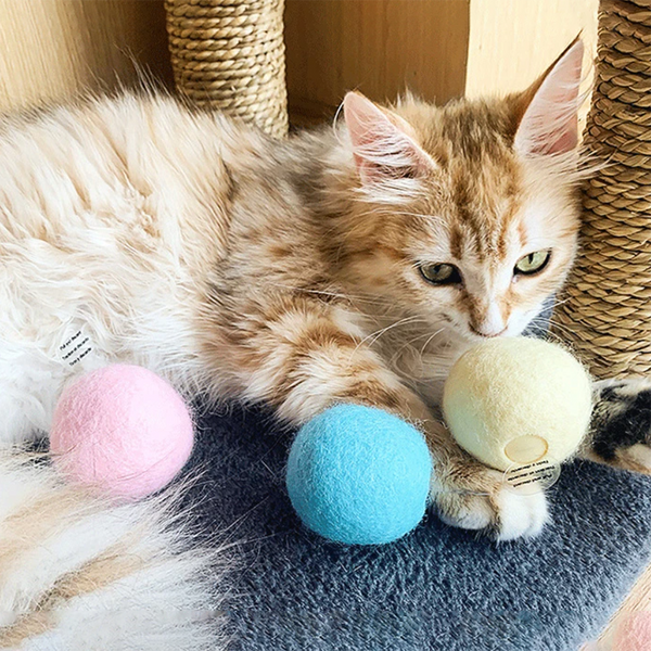 Interactive Electric Smart Cat Toy_2