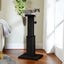 80CM Cat Scratching Post for Indoor Cat Scratcher with Nature Sisal Ball