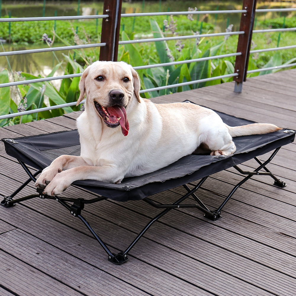 Large Elevated Folding Pet Bed_0