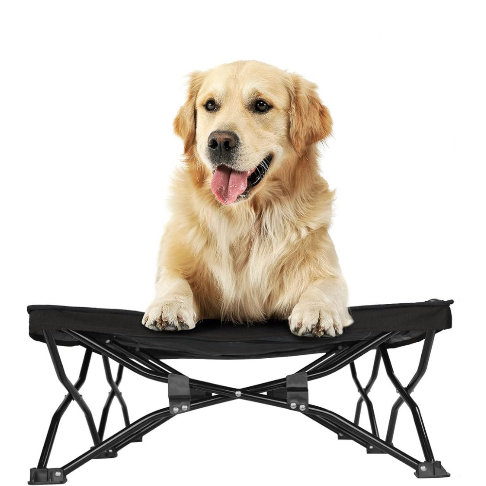 Large Elevated Folding Pet Bed_3