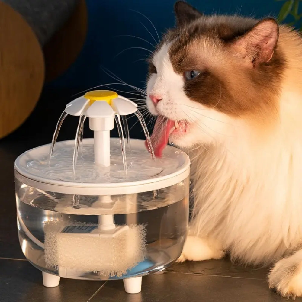 Automatic Water Dispenser for Pets Water Fountain Automatic Cat Drink Bowl_2