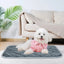 Extra Warm Self Heating Pet Pad for Small and Medium Dogs and Cats_0
