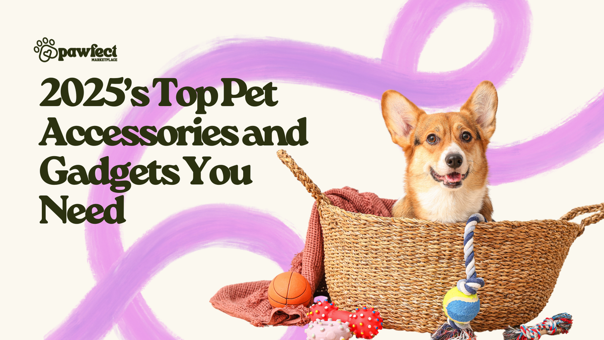 2025’s Top Pet Accessories and Gadgets You Need