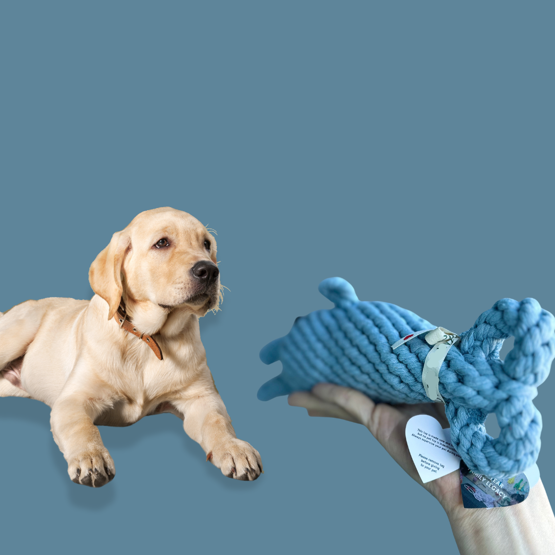 Knotty Paws Handmade Natural Hemp & Cotton Rope Pet Toys