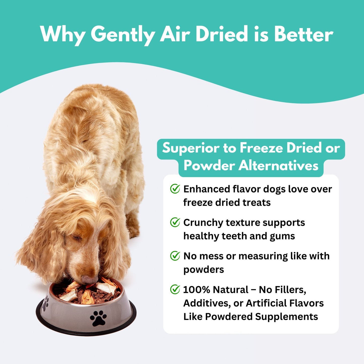 Alfie's Treatos New Zealand Green Lipped Mussel Dog Treats