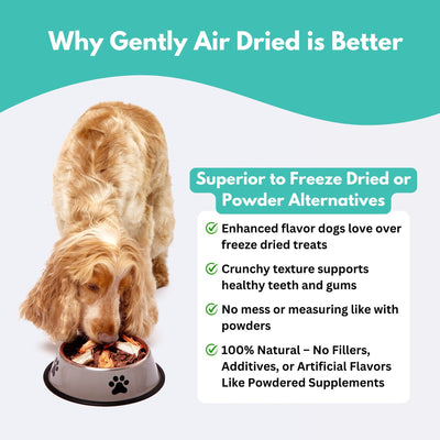 Alfie's Treatos New Zealand Green Lipped Mussel Dog Treats