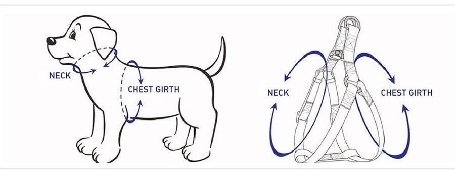 Pawsome Pets NY STEP IN BUNDLE - 5PCS