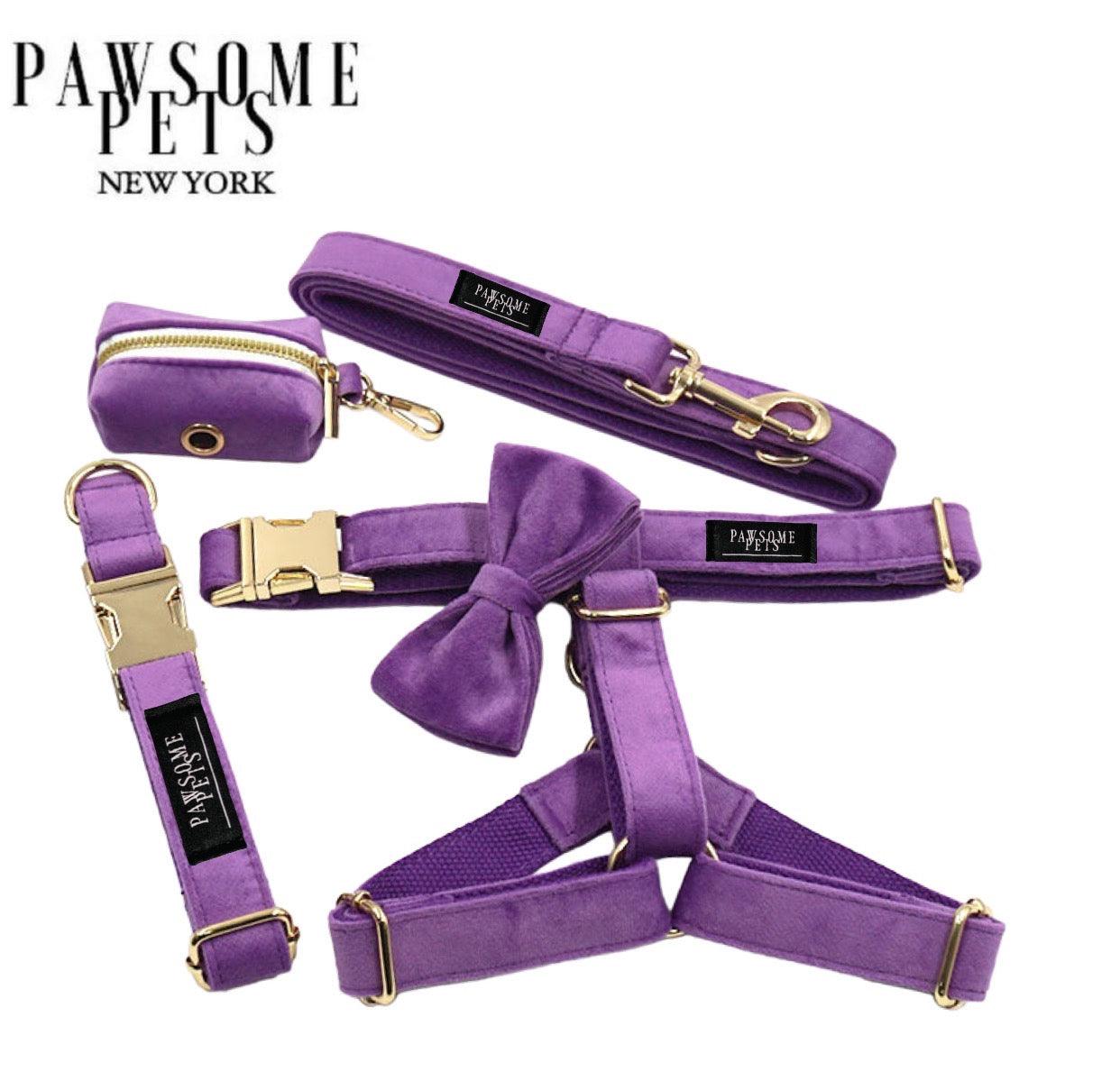 Pawsome Pets NY STEP IN BUNDLE - 5PCS