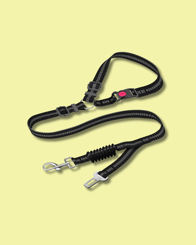 Adjustable Heavy Duty Dog Car Seat Belt with Striped Nylon Design