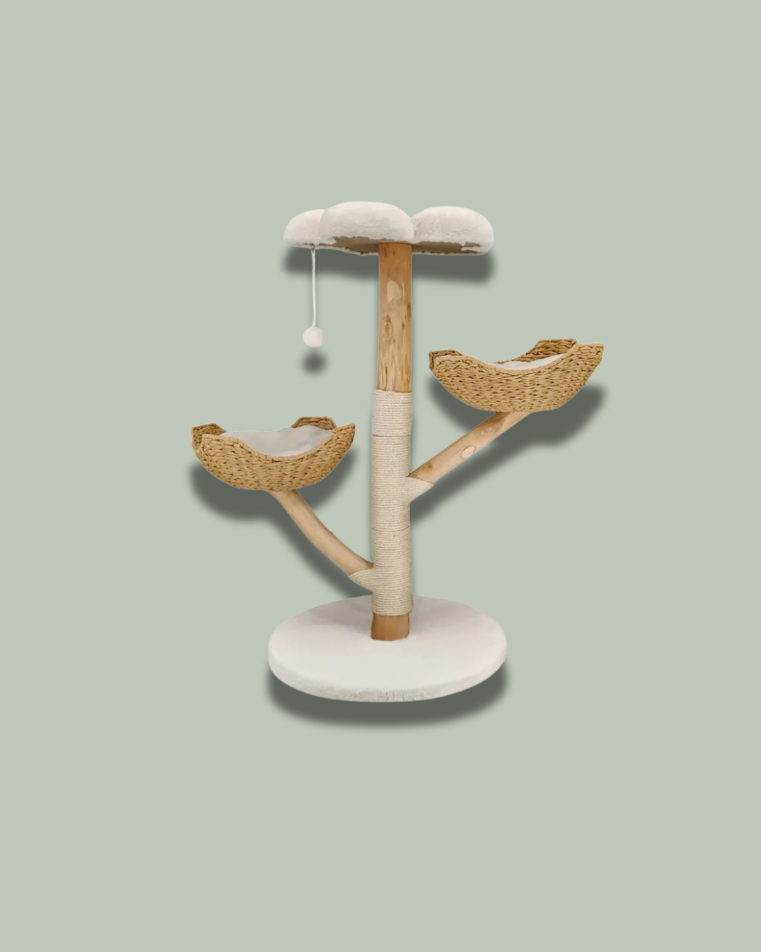 Cat Climbing Tree