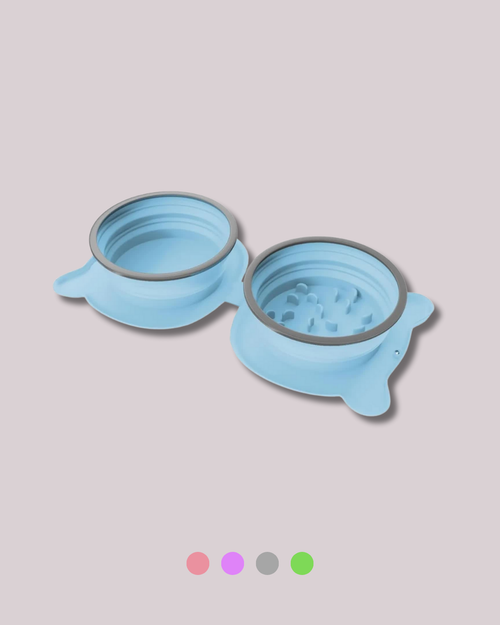 Collapsible Pet Bowl