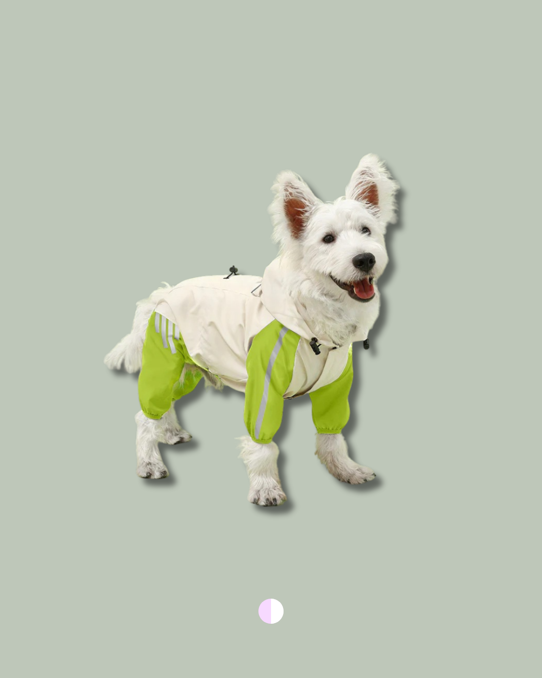 Colorblock Dog Raincoat