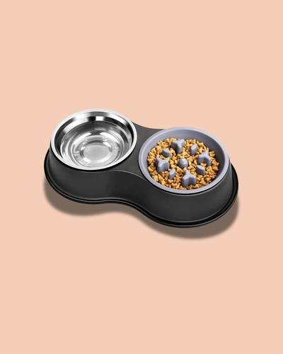 Dog Water And Slow Feeder bowl