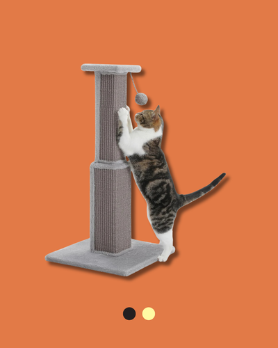 Indoor Scratching Post