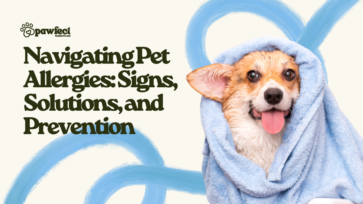 Navigating Pet Allergies: Signs, Solutions, and Prevention