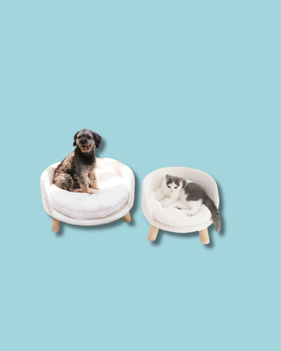 Plush Luxury Pet Bed with Cozy Cushion Pad