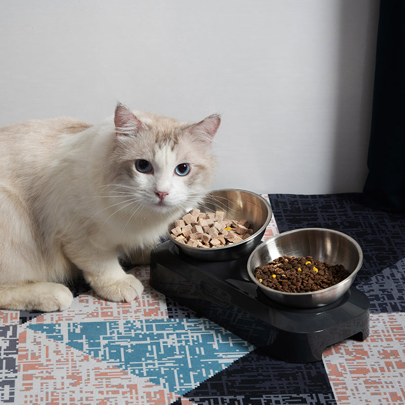 Portable Anti Slip Stainless Steel Pet Bowl for Travel and Everyday Use