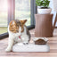 Portable Anti Slip Bowl