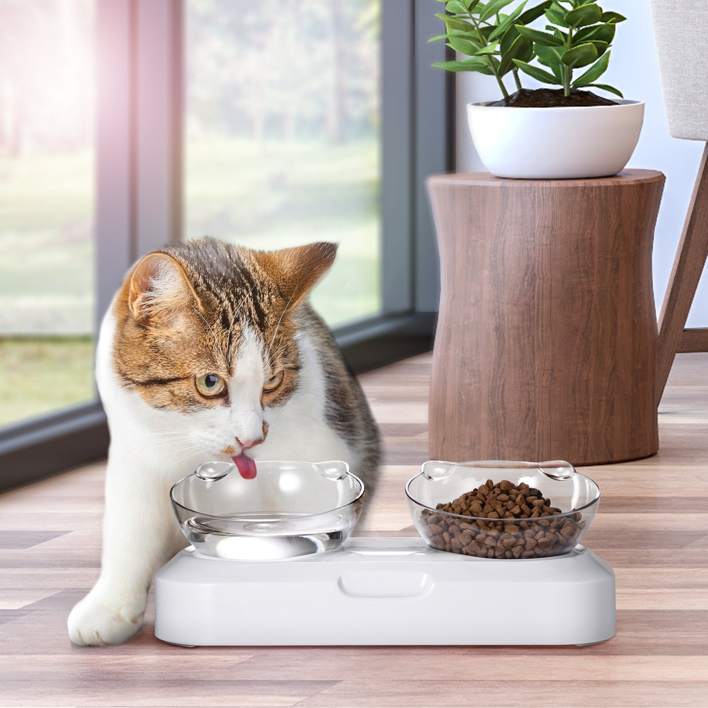 Portable Anti Slip Bowl
