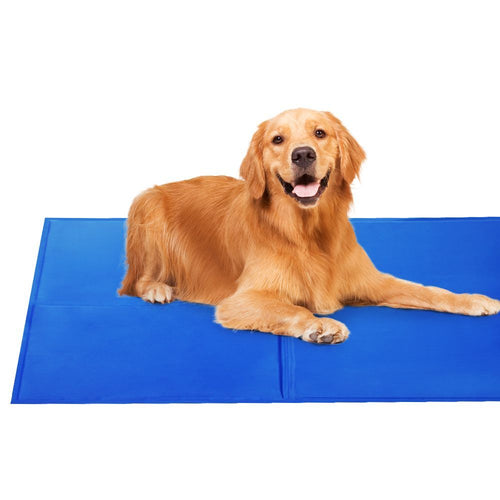 Pet Cooling Gel Mat Dog & Cat Non-Toxic Cold Summer Bed