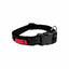 KONG Nylon Adjustable Dog Collars