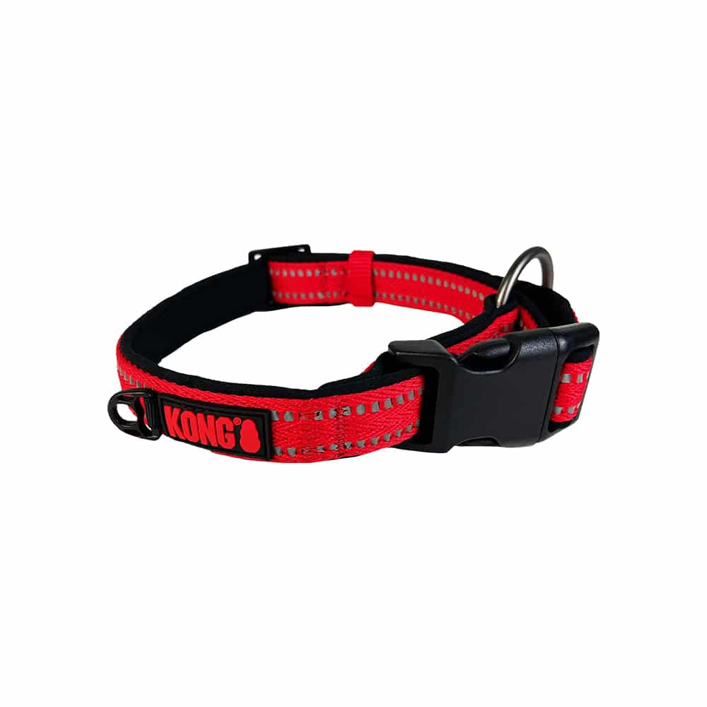 KONG Nylon Adjustable Dog Collars