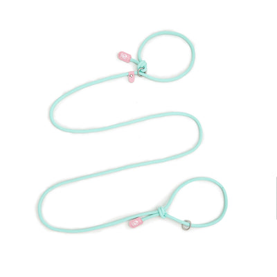 Slip-On Dog Leashes and Leather Dog Collar Leash Set