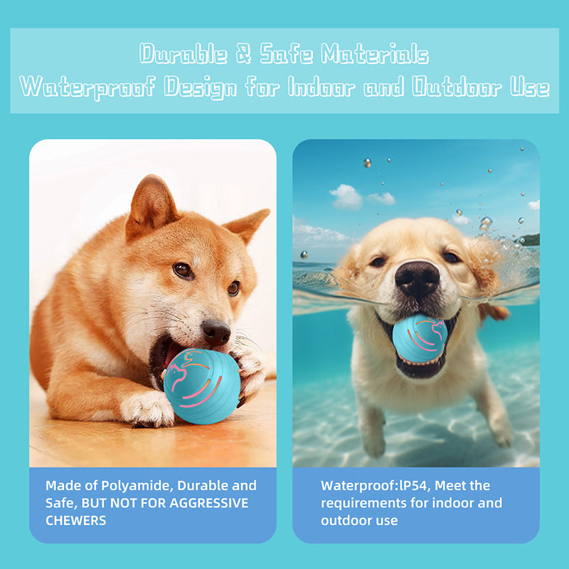Auto Jumping Pet Ball