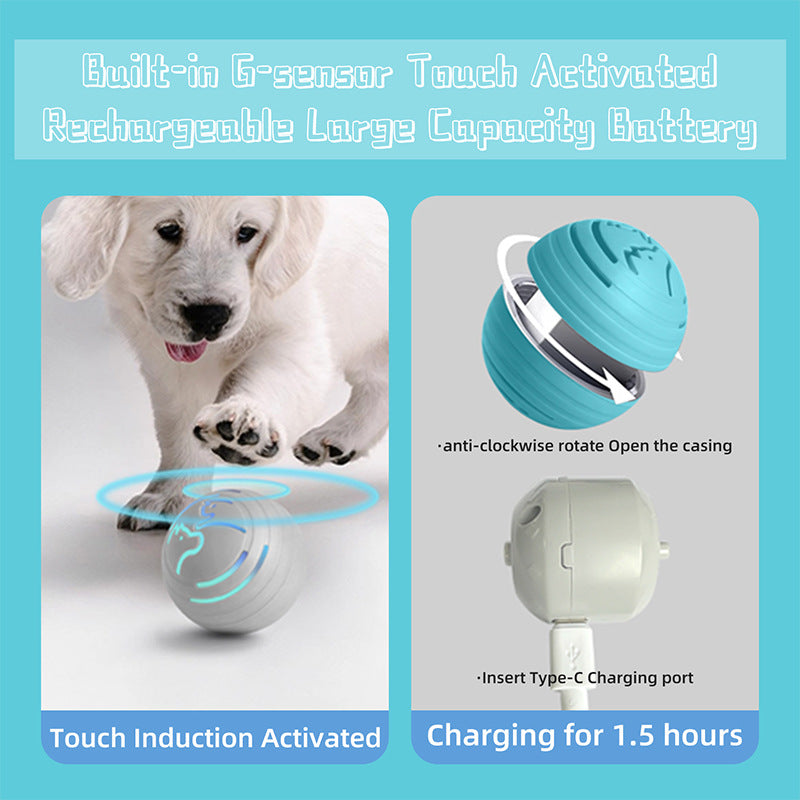 Auto Jumping Pet Ball