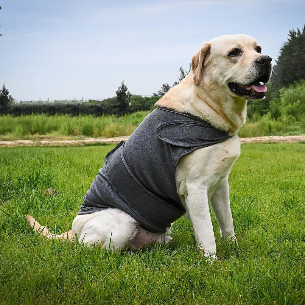 Reflective Quilted Winter Dog Vest Jacket for Outdoor Warmth and Comfort