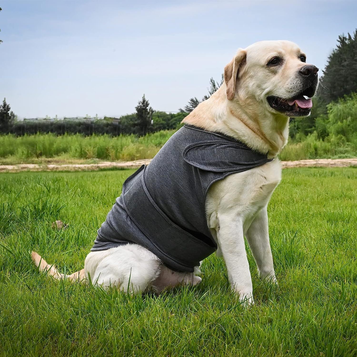 Reflective Quilted Winter Dog Vest Jacket for Outdoor Warmth and Comfort
