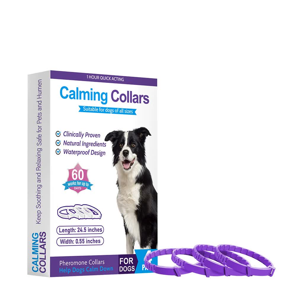 Calming Collars for Dogs to Reduce Anxiety and Promote Relaxation
