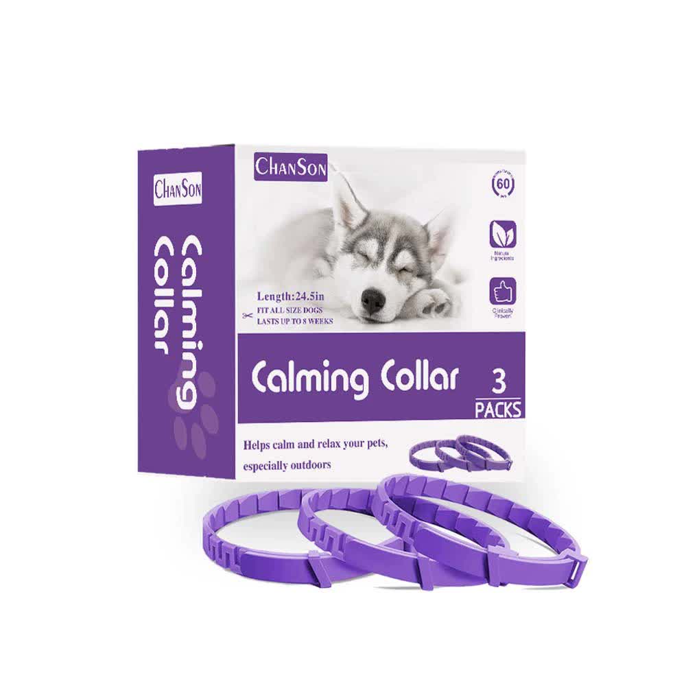 Calming Collars for Dogs to Reduce Anxiety and Promote Relaxation