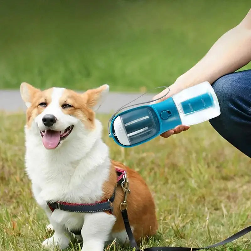 Portable Pet Water Bottle