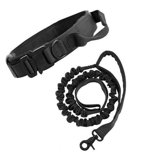 L Black Hands-Free Dog Leash with Adjustable Waist Belt - Shock Absorbing Bungee Lead