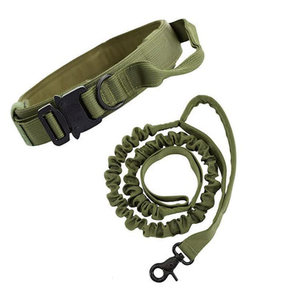 L Green Hands-Free Dog Leash with Adjustable Waist Belt - Shock Absorbing Bungee Lead