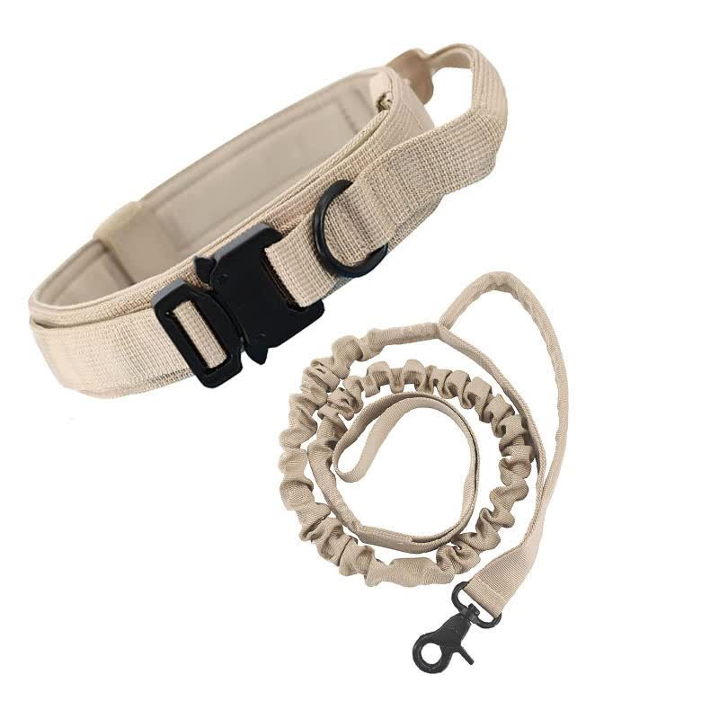 Dog Leash with Adjustable Waist Belt